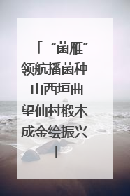 “菌雁”领航播菌种 山西垣曲望仙村椴木成金绘振兴