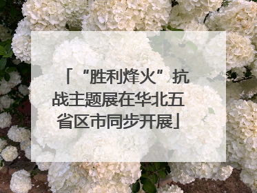 “胜利烽火”抗战主题展在华北五省区市同步开展