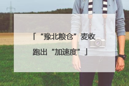 “豫北粮仓”麦收跑出“加速度”