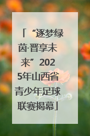 “逐梦绿茵·晋享未来”2025年山西省青少年足球联赛揭幕