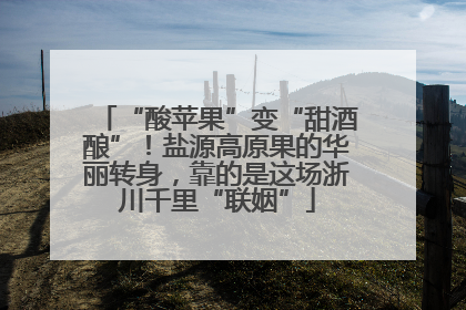 “酸苹果”变“甜酒酿”！盐源高原果的华丽转身，靠的是这场浙川千里“联姻”