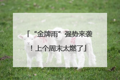 “金牌雨”强势来袭！上个周末太燃了