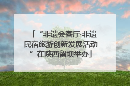 “非遗会客厅·非遗民宿旅游创新发展活动”在陕西留坝举办