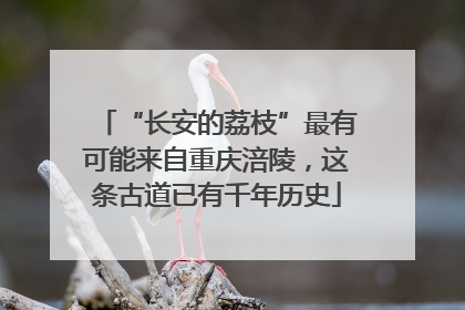 “长安的荔枝”最有可能来自重庆涪陵，这条古道已有千年历史