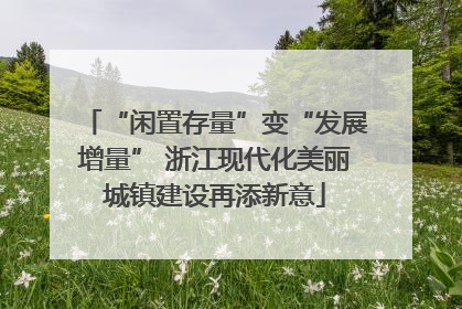 “闲置存量”变“发展增量” 浙江现代化美丽城镇建设再添新意