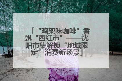 “鸡架味咖啡”香飘“西红市”——沈阳市集解锁“地域限定”消费新场景