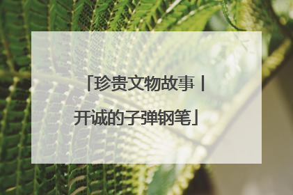 珍贵文物故事丨开诚的子弹钢笔