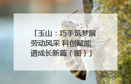 玉山：巧手筑梦展劳动风采 科创赋能谱成长新篇（图）