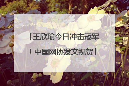 王欣瑜今日冲击冠军！中国网协发文祝贺