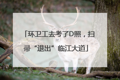 环卫工去考了D照，扫帚“退出”临江大道