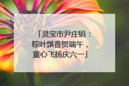 灵宝市尹庄镇：粽叶飘香贺端午，童心飞扬庆六一