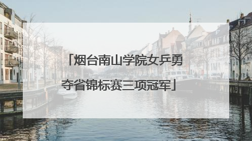 烟台南山学院女乒勇夺省锦标赛三项冠军