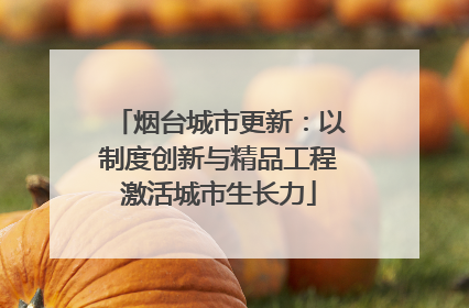 烟台城市更新：以制度创新与精品工程激活城市生长力