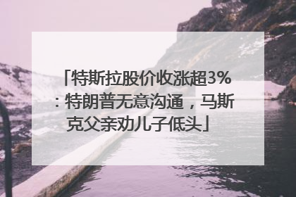 特斯拉股价收涨超3%：特朗普无意沟通，马斯克父亲劝儿子低头