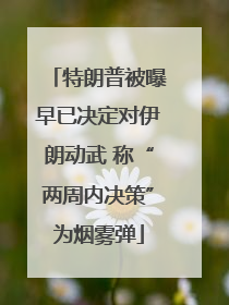 特朗普被曝早已决定对伊朗动武 称“两周内决策”为烟雾弹