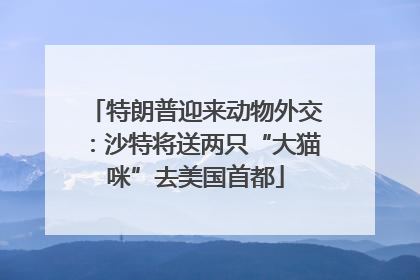 特朗普迎来动物外交：沙特将送两只“大猫咪”去美国首都