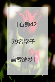 石狮4279名学子高考逐梦