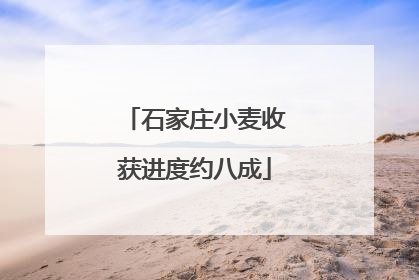 石家庄小麦收获进度约八成