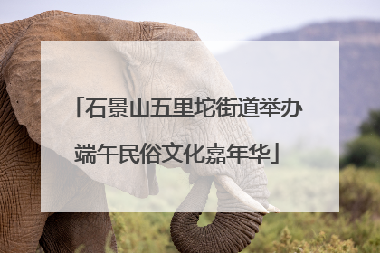 石景山五里坨街道举办端午民俗文化嘉年华