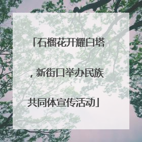 石榴花开耀白塔，新街口举办民族共同体宣传活动