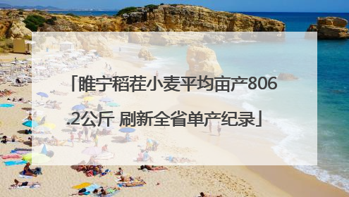 睢宁稻茬小麦平均亩产806.2公斤 刷新全省单产纪录