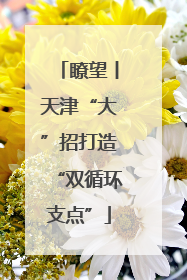 瞭望丨天津“大”招打造“双循环支点”