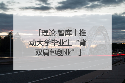 理论·智库丨推动大学毕业生“背双肩包创业”