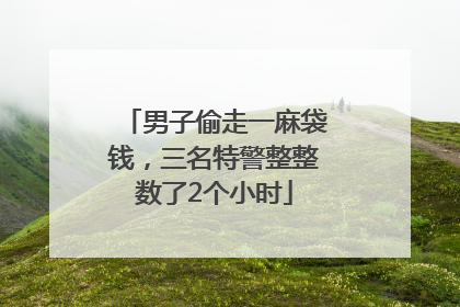 男子偷走一麻袋钱，三名特警整整数了2个小时
