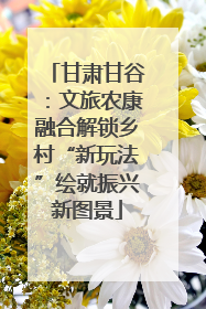 甘肃甘谷：文旅农康融合解锁乡村“新玩法”绘就振兴新图景