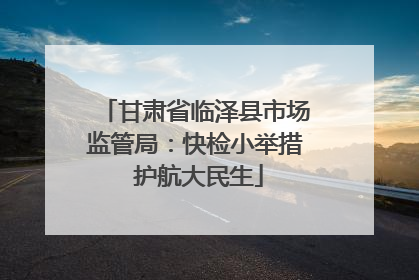 甘肃省临泽县市场监管局：快检小举措 护航大民生