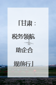 甘肃：税务领航 助企合规前行
