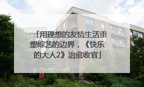 用理想的友情生活重塑综艺的边界，《快乐的大人2》治愈收官