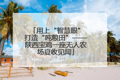 用上“智慧眼” 打造“吨粮田”——陕西宝鸡一座无人农场夏收见闻