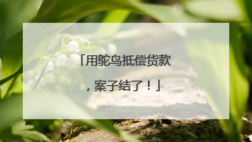用鸵鸟抵偿货款，案子结了！