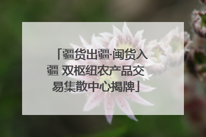 疆货出疆·闽货入疆 双枢纽农产品交易集散中心揭牌