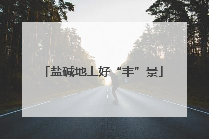 盐碱地上好“丰”景