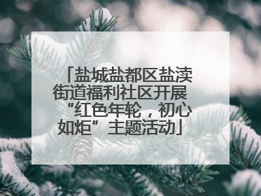 盐城盐都区盐渎街道福利社区开展“红色年轮，初心如炬”主题活动