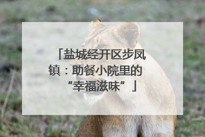 盐城经开区步凤镇：助餐小院里的“幸福滋味”