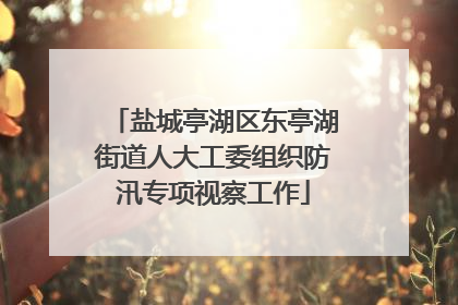 盐城亭湖区东亭湖街道人大工委组织防汛专项视察工作