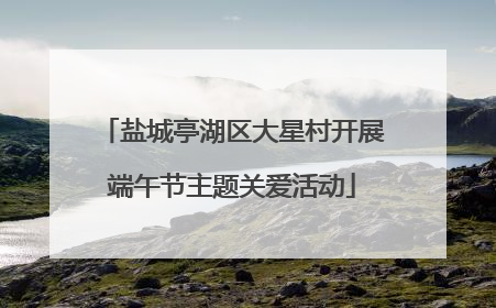 盐城亭湖区大星村开展端午节主题关爱活动