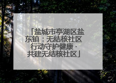 盐城市亭湖区盐东镇：无结核社区行动守护健康 ·共建无结核社区