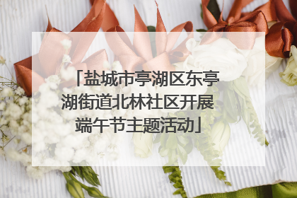 盐城市亭湖区东亭湖街道北林社区开展端午节主题活动