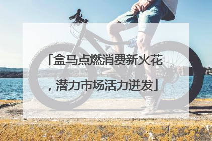 盒马点燃消费新火花，潜力市场活力迸发