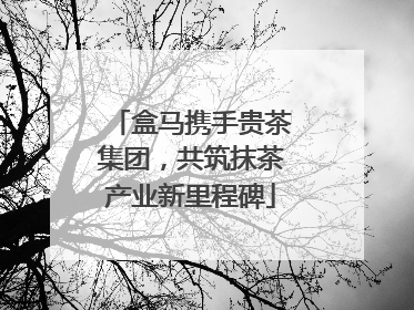 盒马携手贵茶集团，共筑抹茶产业新里程碑