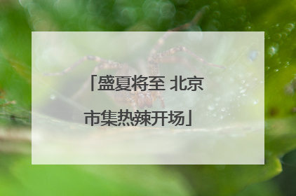 盛夏将至 北京市集热辣开场