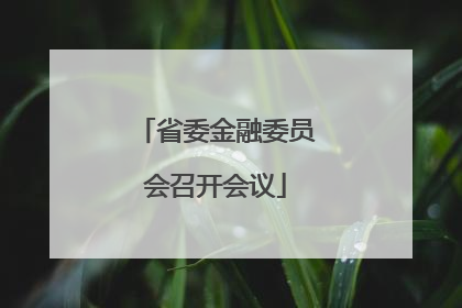省委金融委员会召开会议