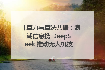 算力与算法共振：浪潮信息携 DeepSeek 推动无人机技术在舟山落地