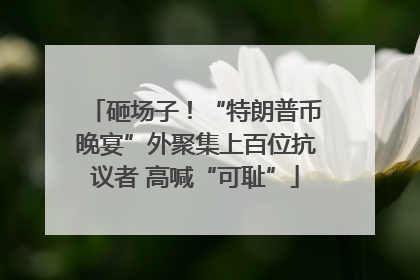 砸场子！“特朗普币晚宴”外聚集上百位抗议者 高喊“可耻”