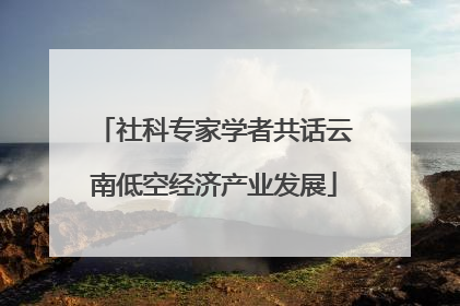 社科专家学者共话云南低空经济产业发展