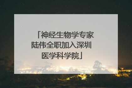 神经生物学专家陆伟全职加入深圳医学科学院